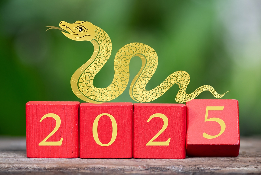 Годината на Зелената змия: какви опасности крие 2025-а според китайския хороскоп? 