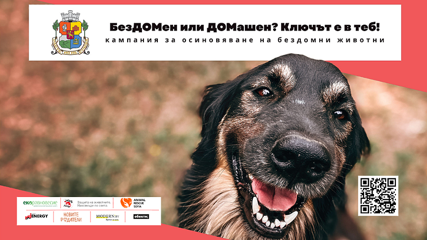 Кампанията „БезДОМен или ДОМашен? Ключът е в теб!“ със 109 осиновени животинки