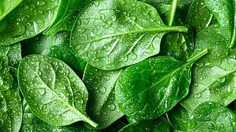 За повече магнезий, експертите препоръчват този листен зеленчук